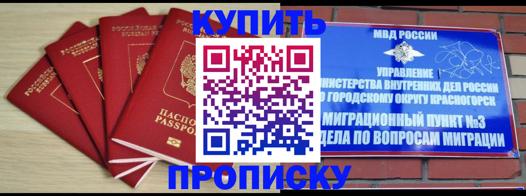 временная регистрация для всех в Пионерском